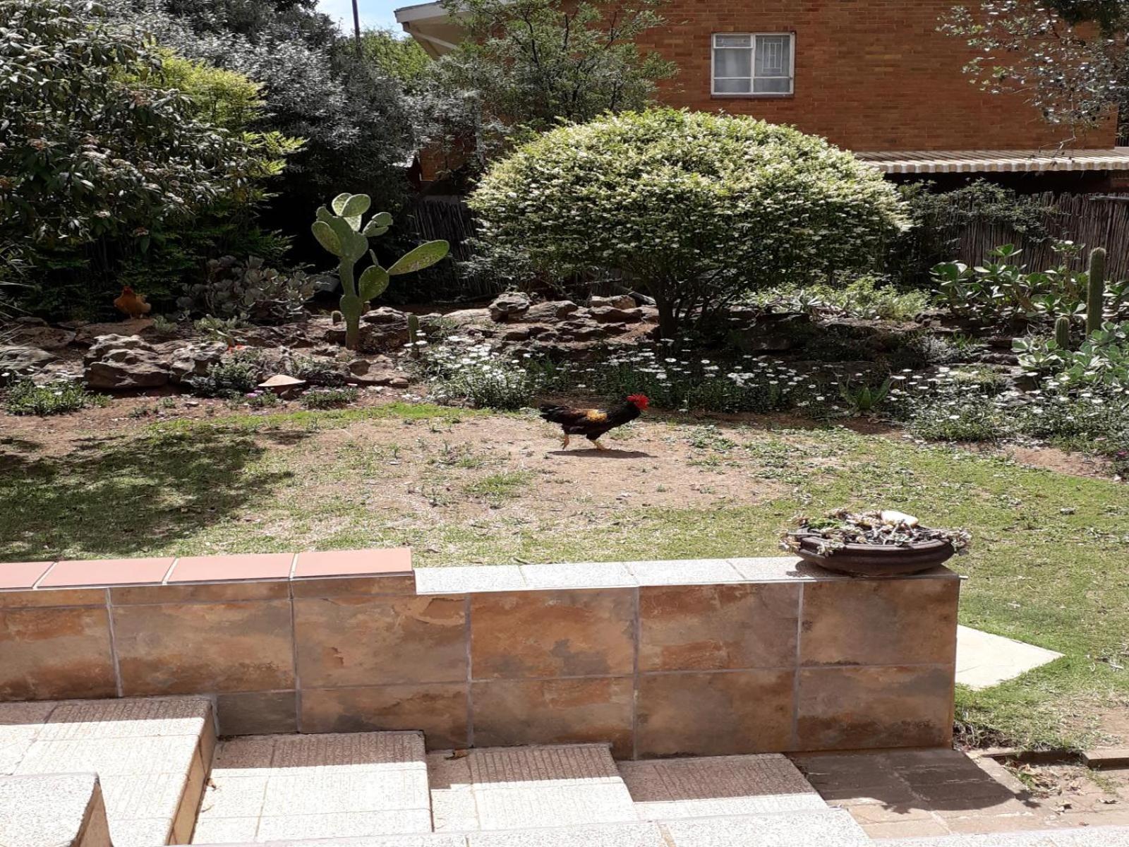 Kestell Aandrus Bnb المظهر الخارجي الصورة